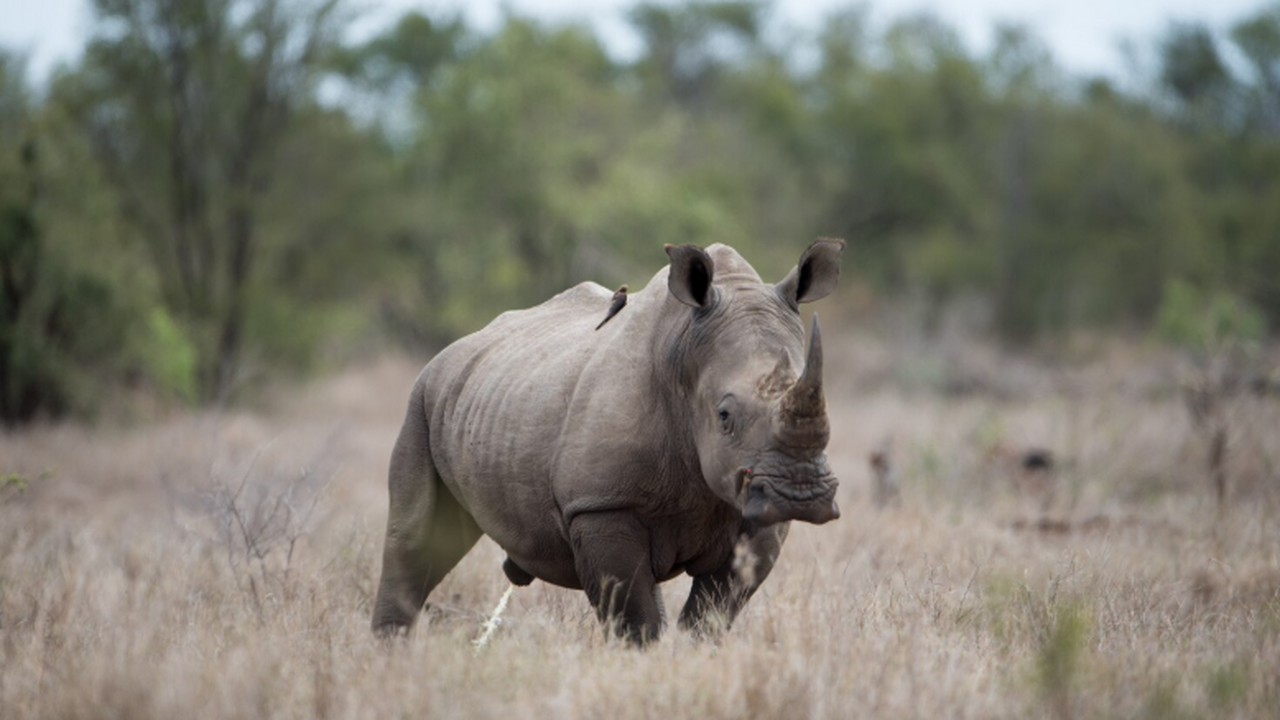 Археологи и генетики сделали значительный шаг в...