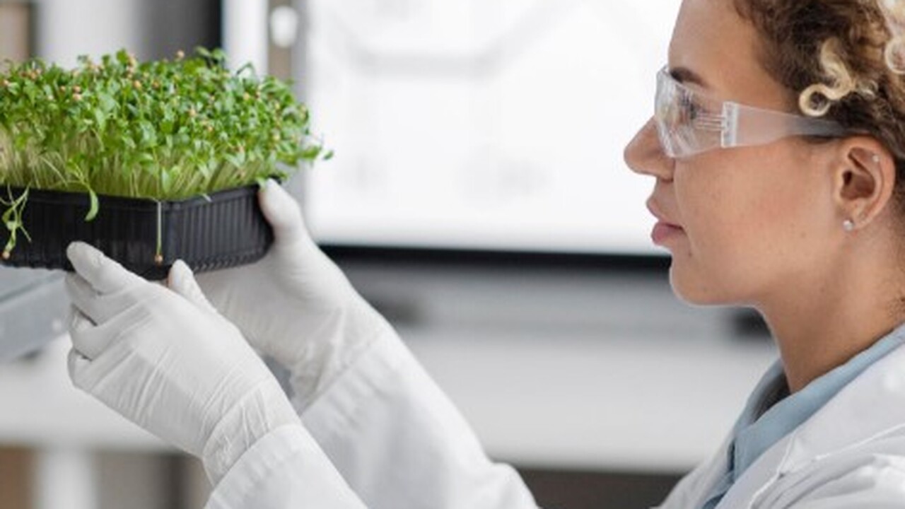 В журнале New Phytologist была опубликована ста...