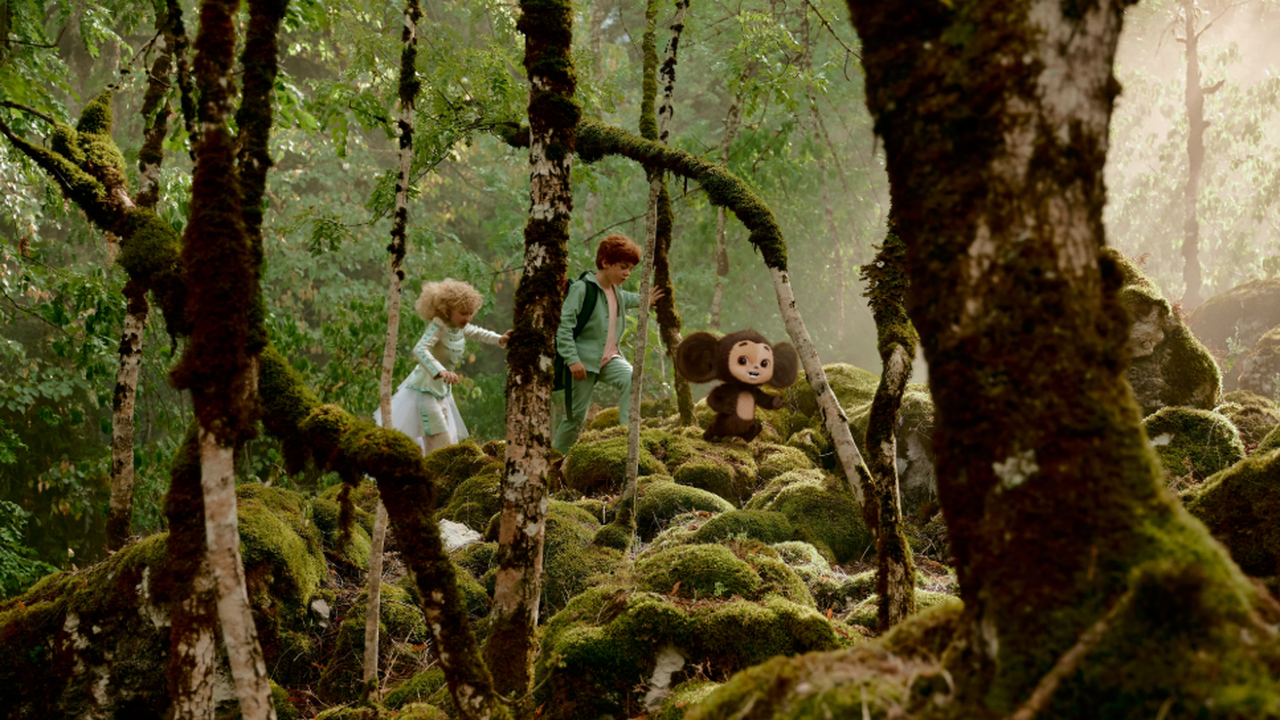 На заседании Комитета Государственной Думы по к...