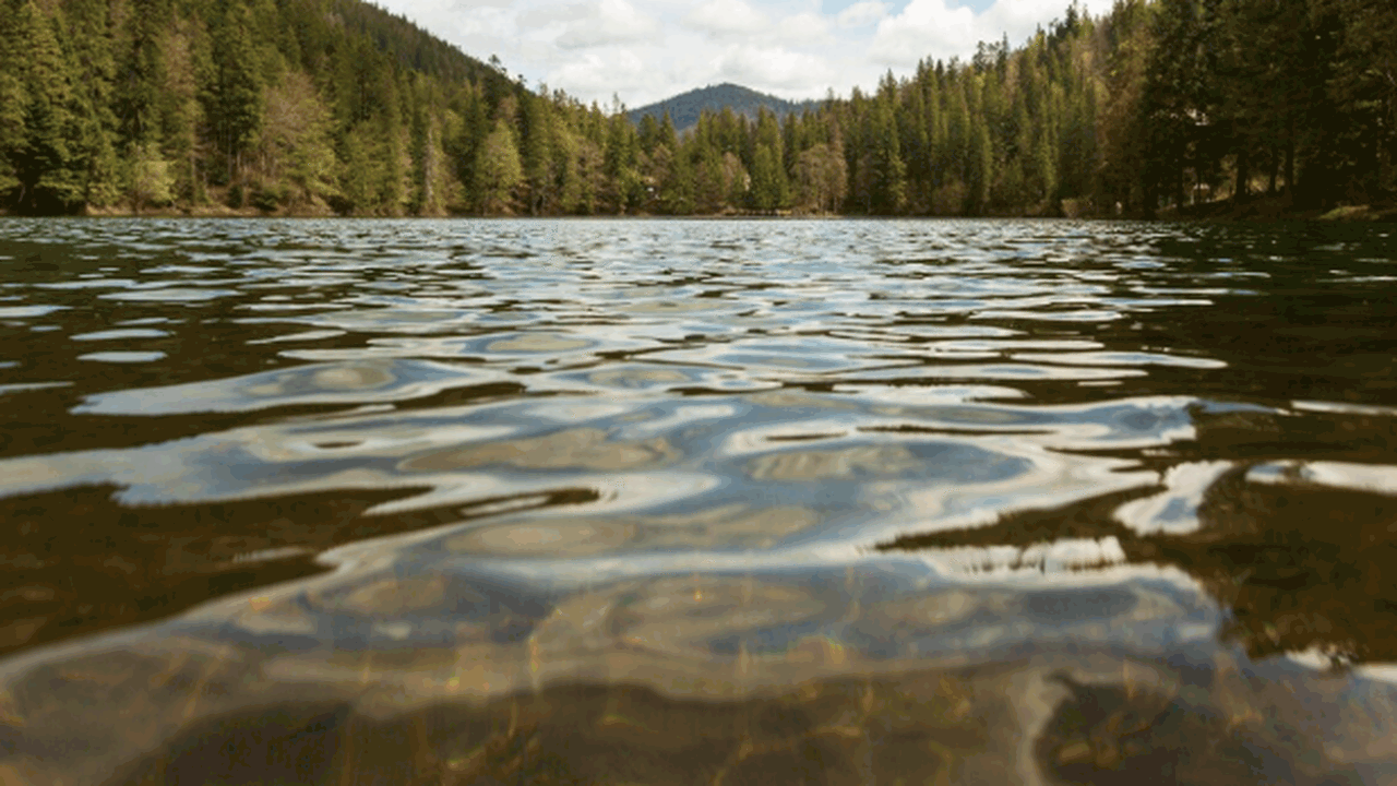 Самарская область вновь присоединилась к федера...