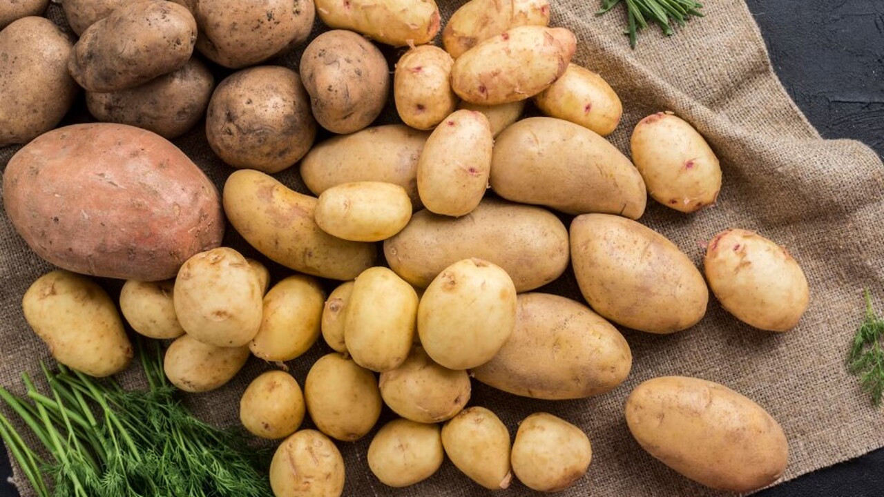 Ученые ВНИИФ: создана система ДНК-тестов для поиска болезней картофеля Учёные Научно-исследовательского института фито...