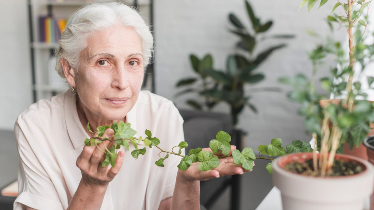 Петунии в недоумении: на клумбу прибыл новый любимец садоводов — рассказываем о растении, которое распускается с пышностью водопада В последние годы наблюдается тенденция к замене...