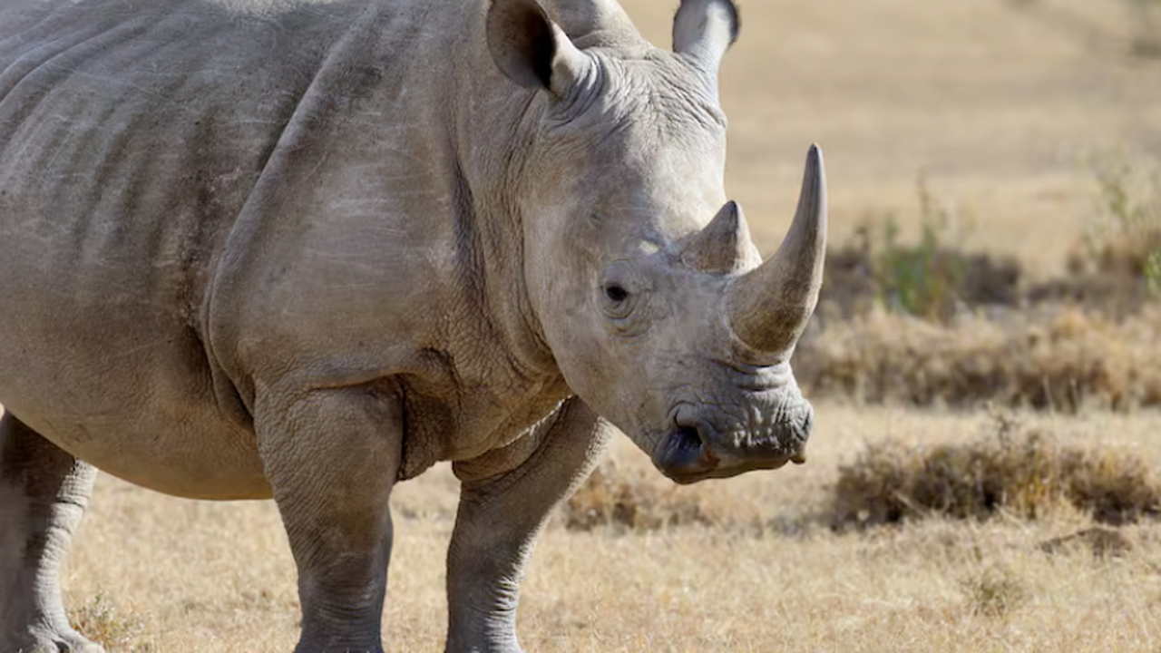 Специалисты Новосибирского государственного уни...