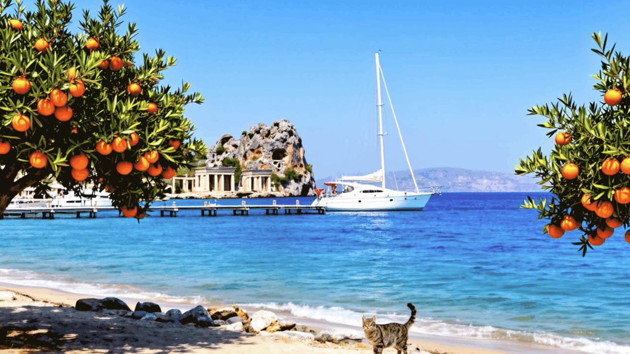 Бирюзовая вода, кебаб за 50 евро и кошки в кажд...