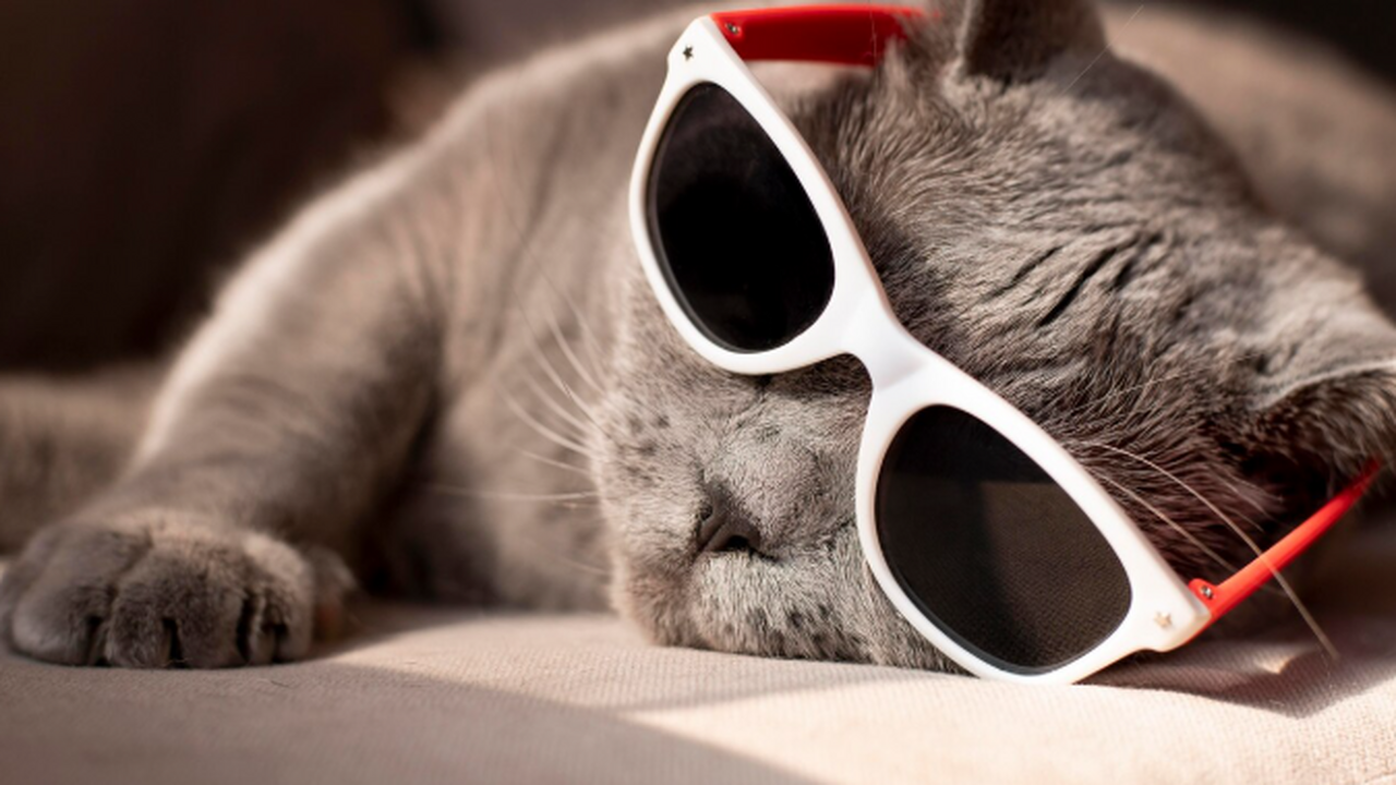 В Самарской области в прошлом году наиболее час...