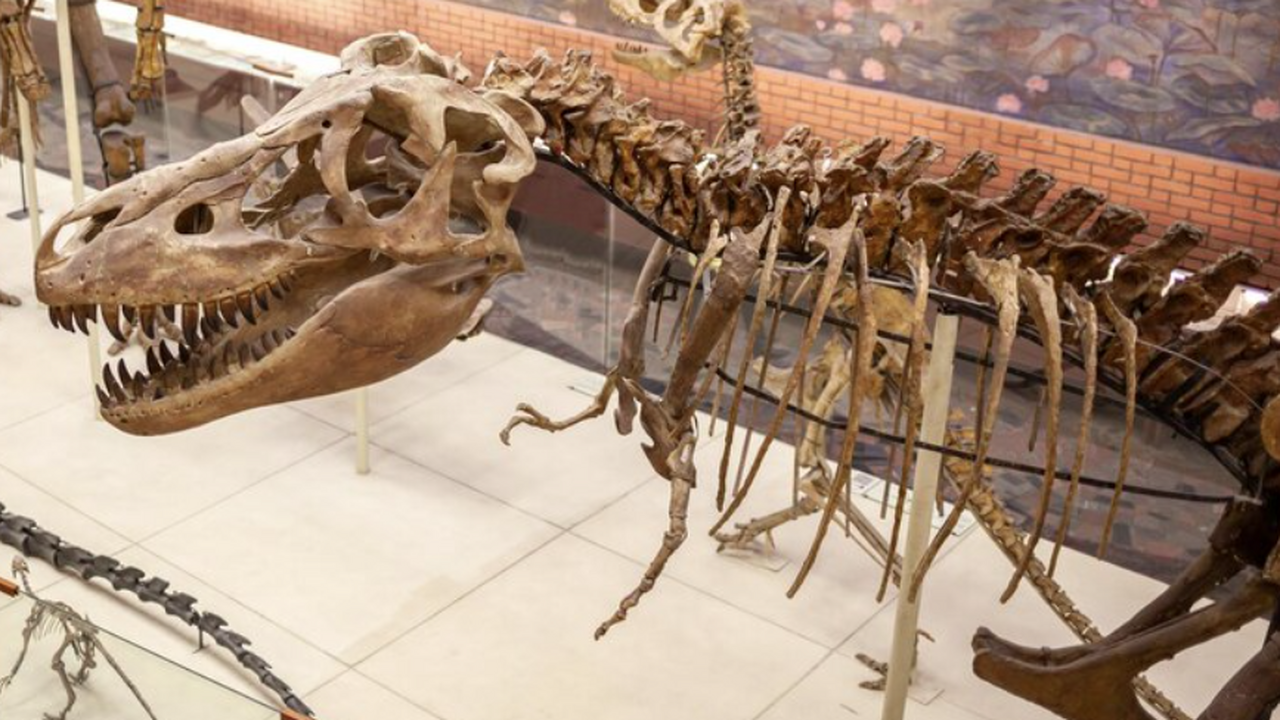 Уникальная находка в Испании — скелет бизона с ...