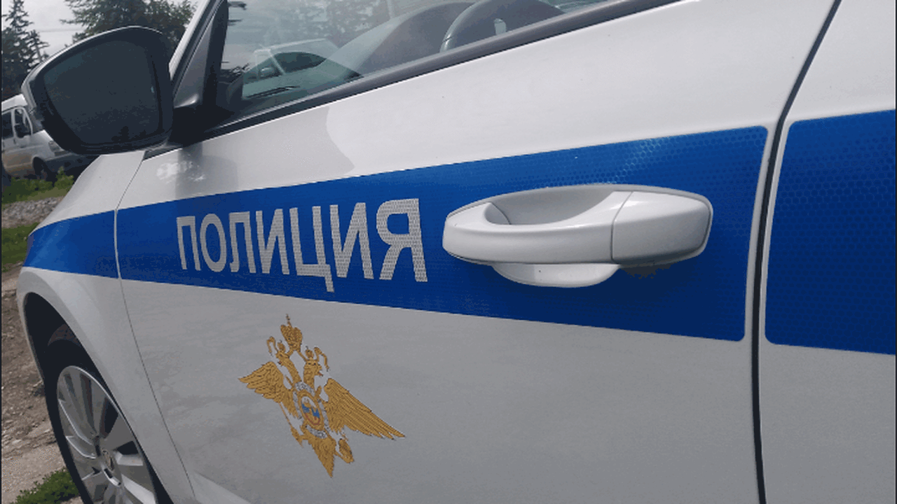 В Кошкинском районе доказательства по уголовному делу нашла служебная собака Изъятые предметы приобщили к материалам уголовн...