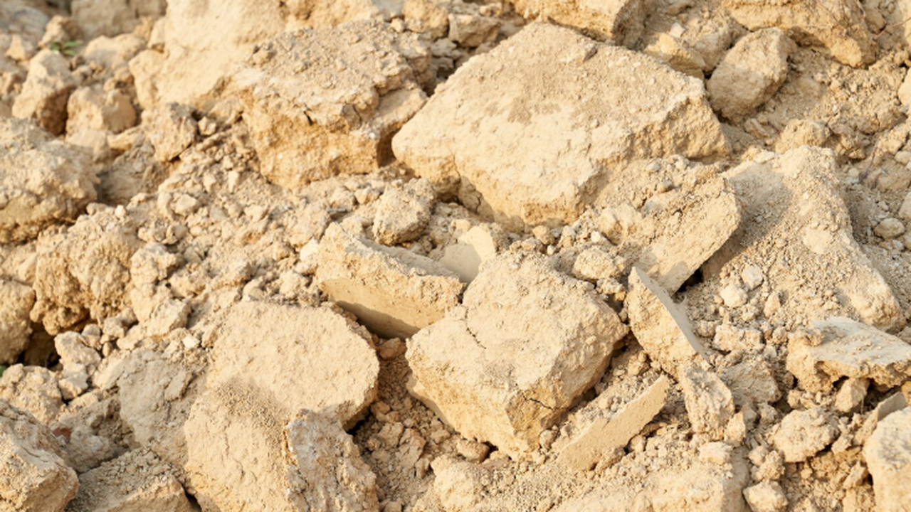 Археологи в Египте обнаружили останки потенциально древнейшего примата Земли В результате археологических раскопок, проведён...