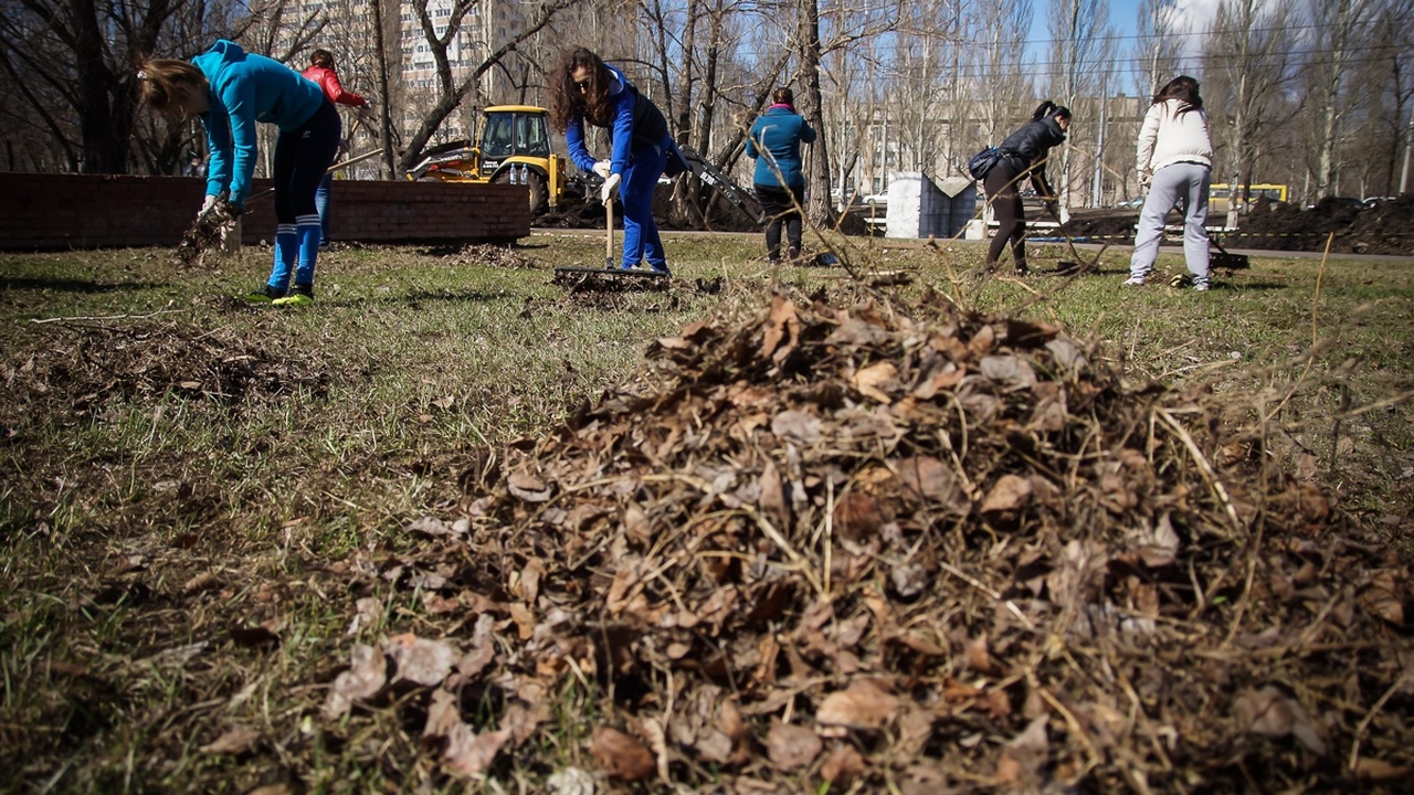 В апреле текущего года в парках, скверах и вдол...