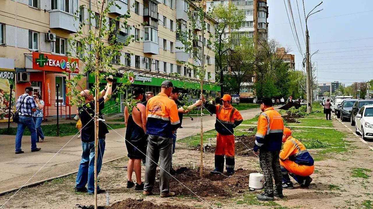 «Внедряем комплексный подход», — Иван Носков о новой системе озеленения Самары Администрация Самары продолжает высадку деревье...