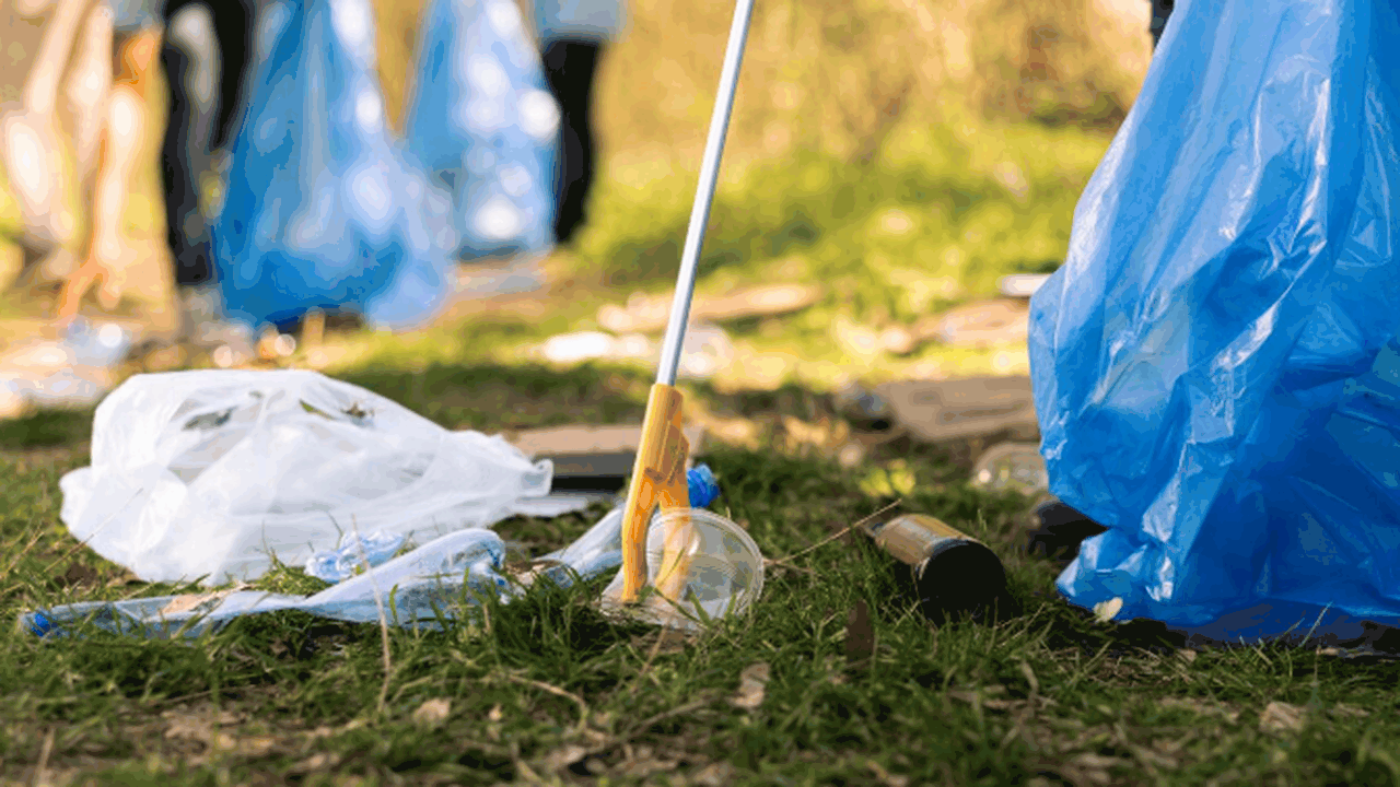 Несмотря на неблагоприятные метеорологические у...