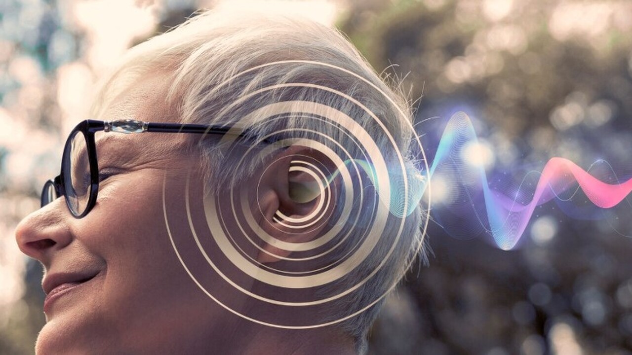 Исследователи из Международной школы перспектив...