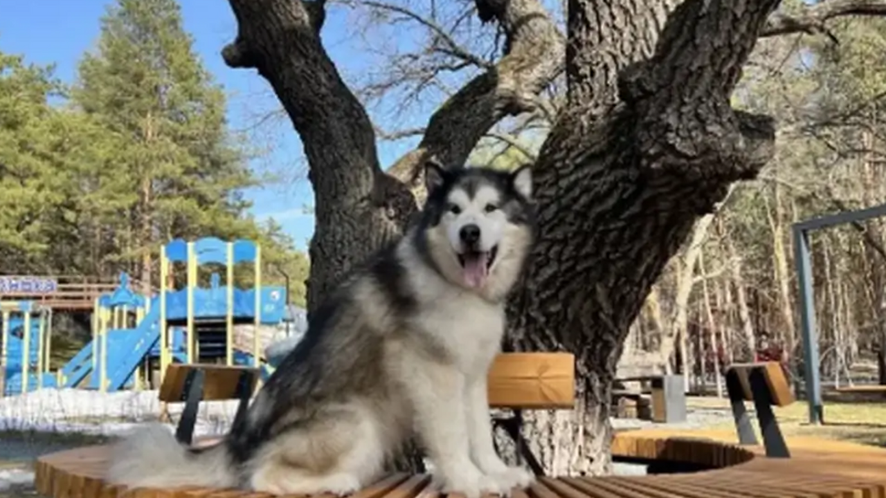 В Самарской области идет конкурс грантов для туристических проектов Начался конкурсный отбор грантов для юридически...
