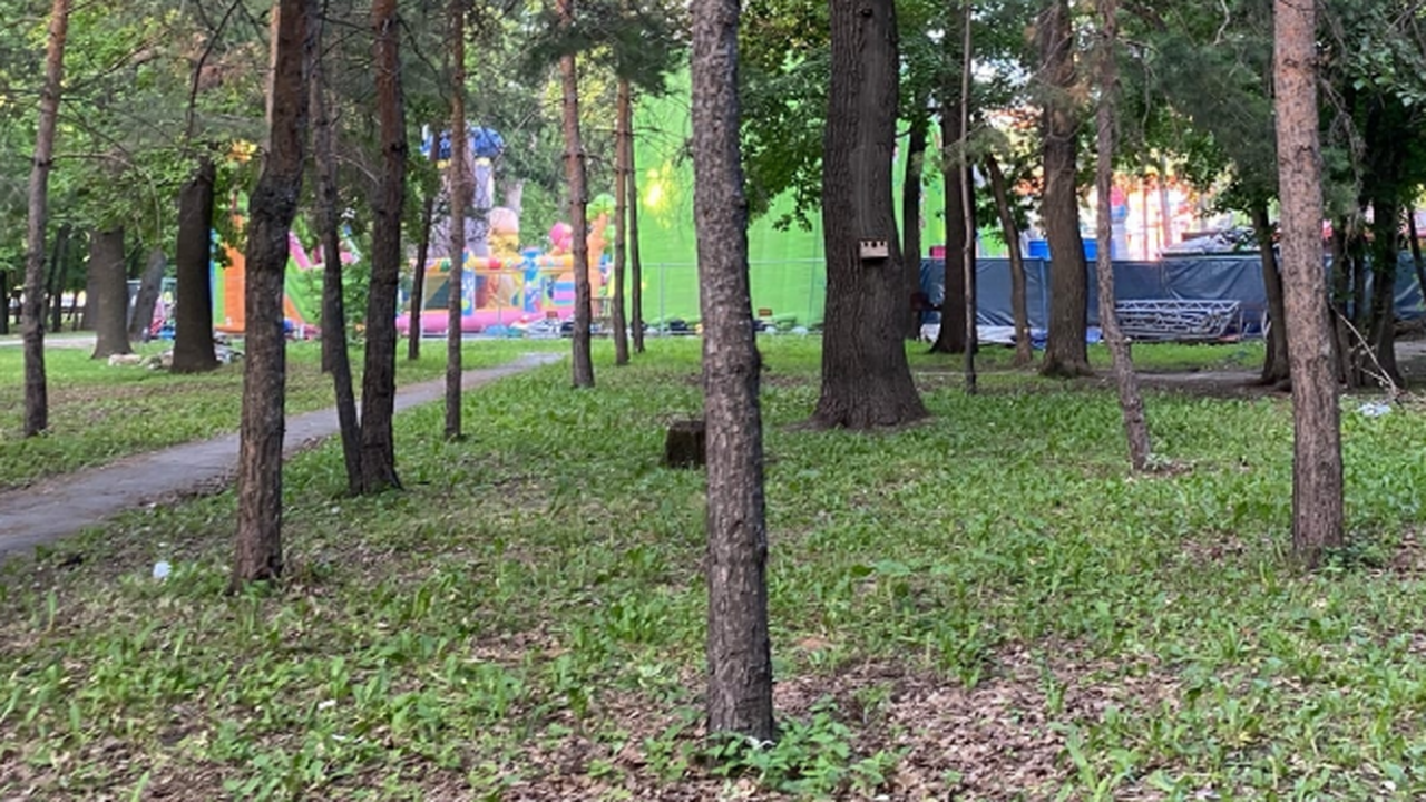 В Самаре может появиться сквер имени Николая Ки...