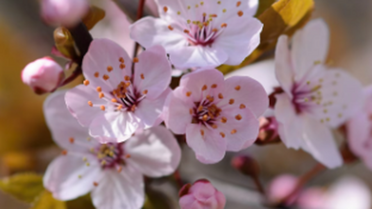 Весной жители Самарской области сталкиваются с ...