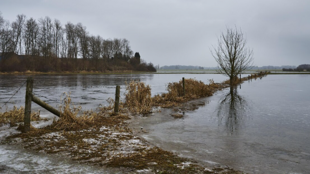 На подготовку отведено четырнадцать дней.  Эксп...