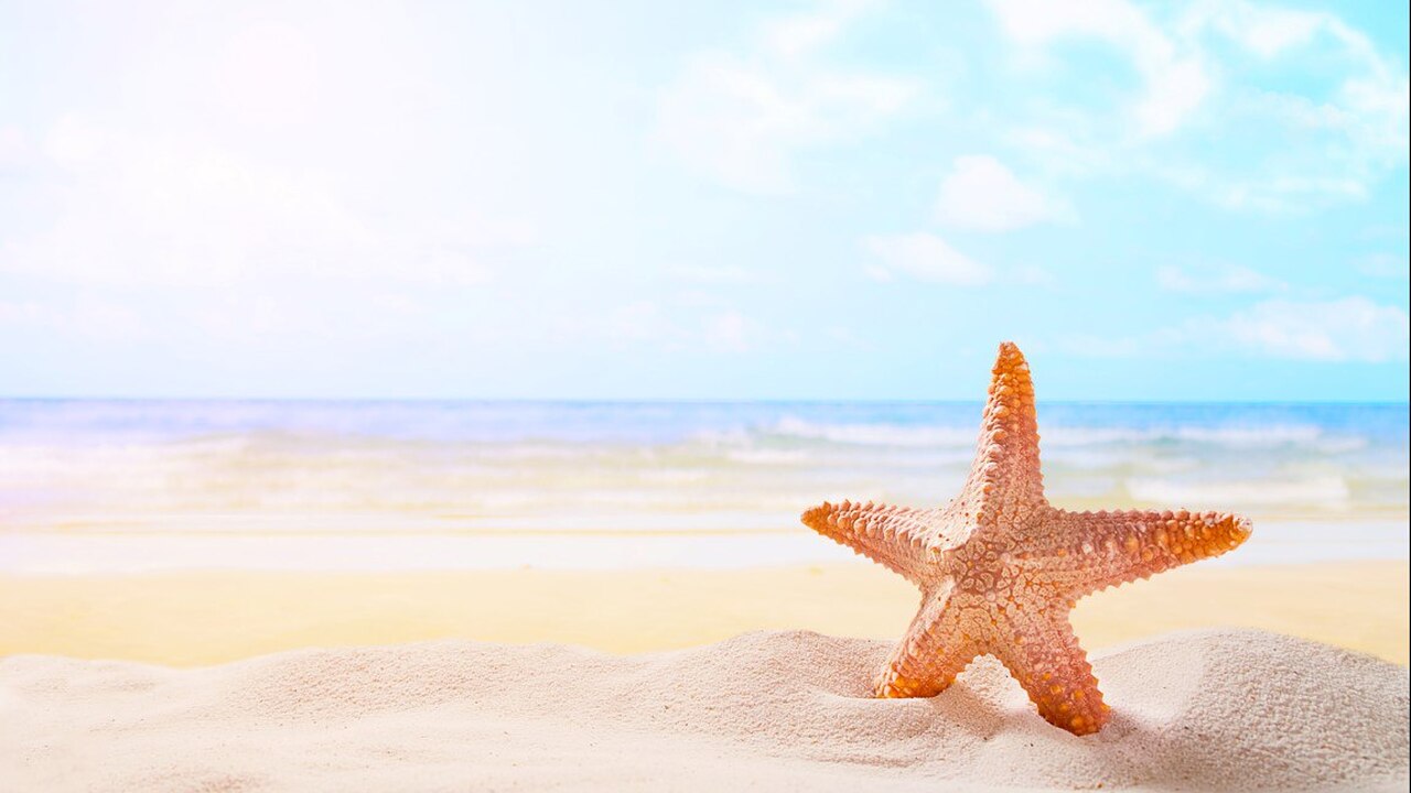 За последние пять лет, после того как пандемия ...