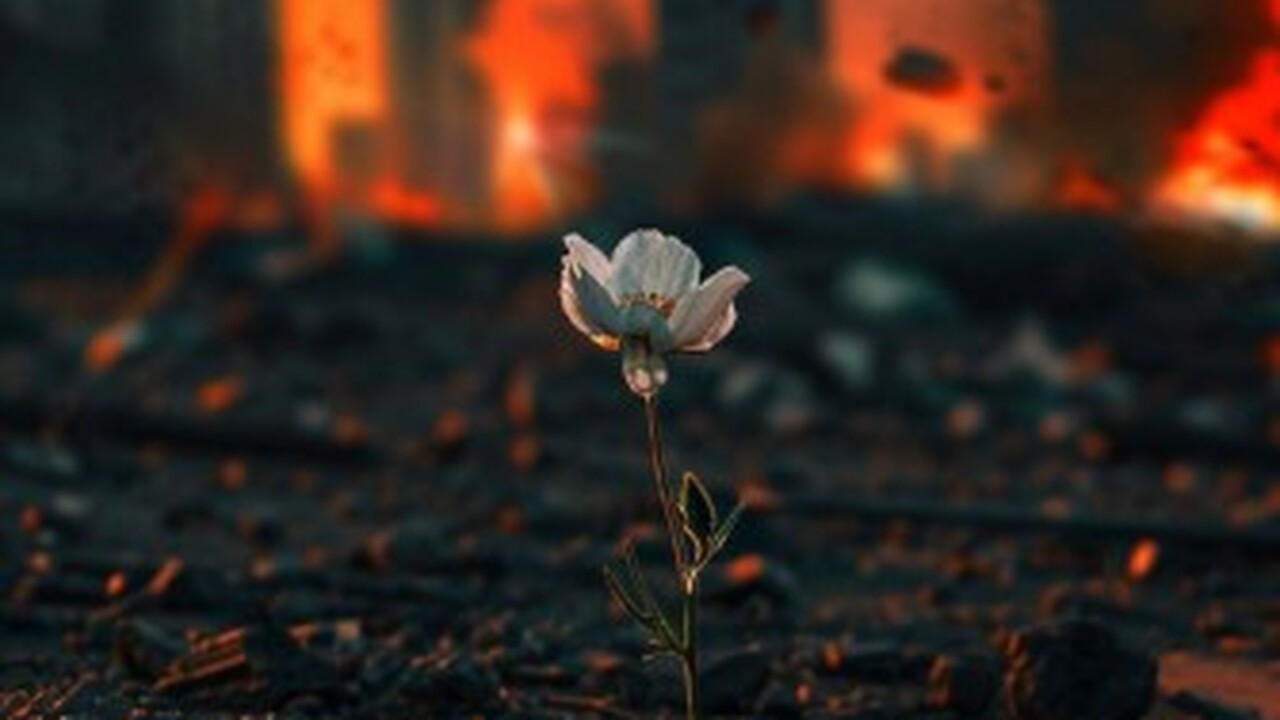 В медиапространстве, связанном с религиозными и...