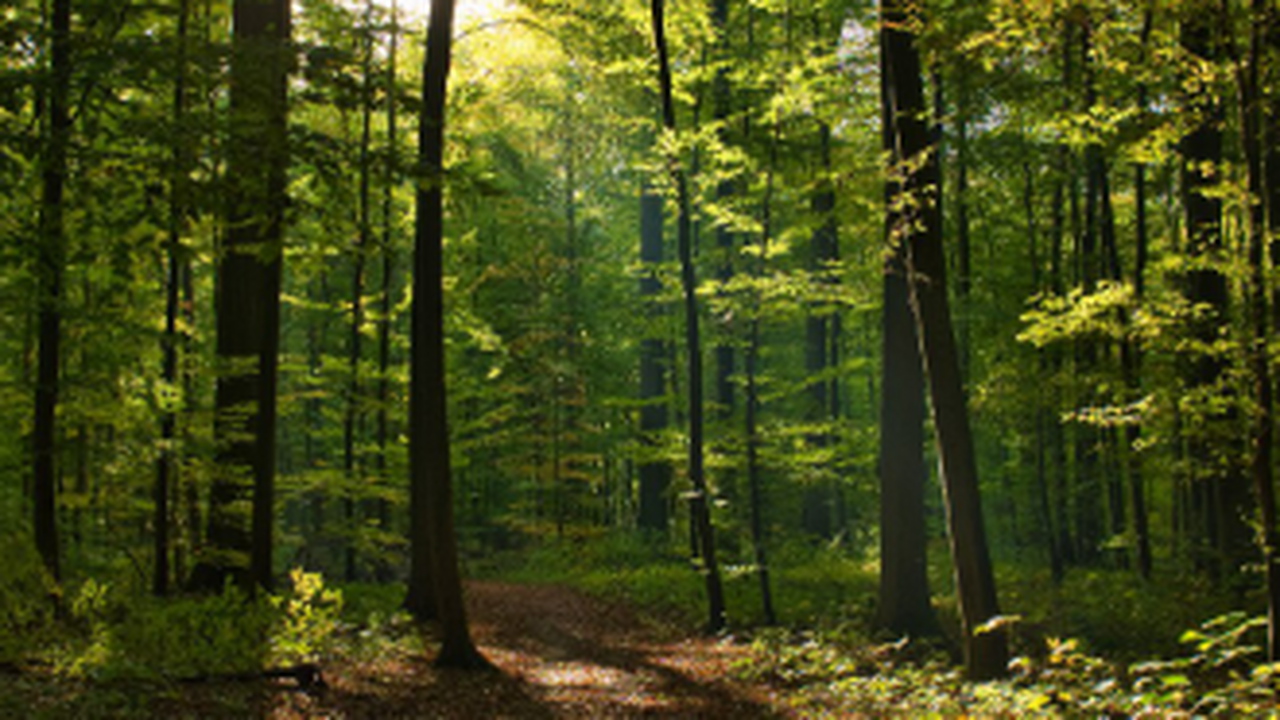 Жительница Самары выразила обеспокоенность по п...