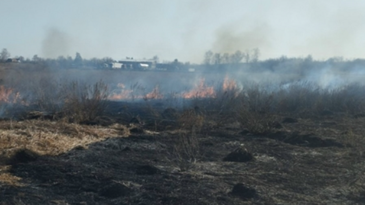 31 марта в Самарской области спасатели тушили пал травы 31 марта в посёлке Нижегорский Кинель-Черкасско...