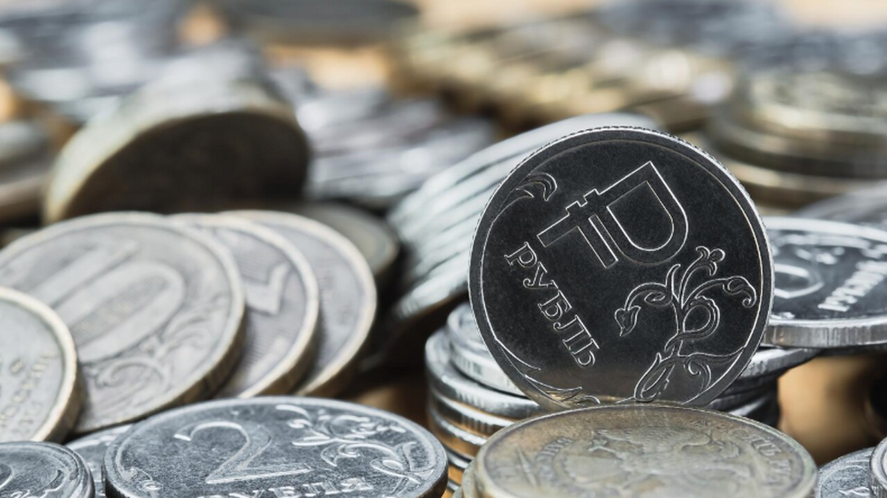 Корпорация развития Самарской области хочет найти инвестора для птицефабрики АО «Корпорация развития Самарской области» объя...