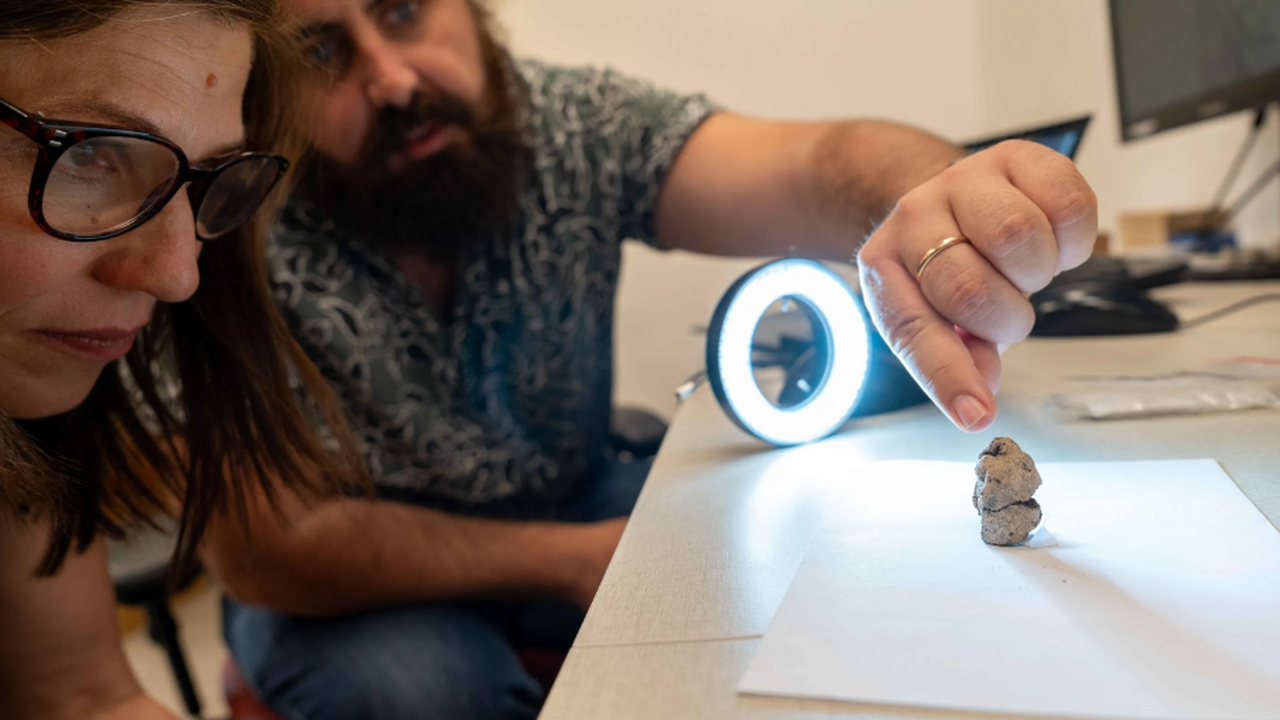 На археологической стоянке Нахаль-Эйн-Гев II, р...