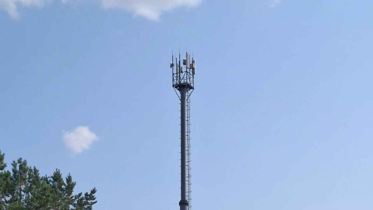 В Кинельском районе — одном из крупнейших аграр...