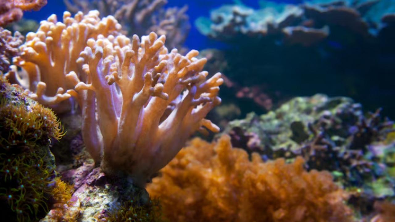 Согласно публикации The Guardian, мир вступает ...