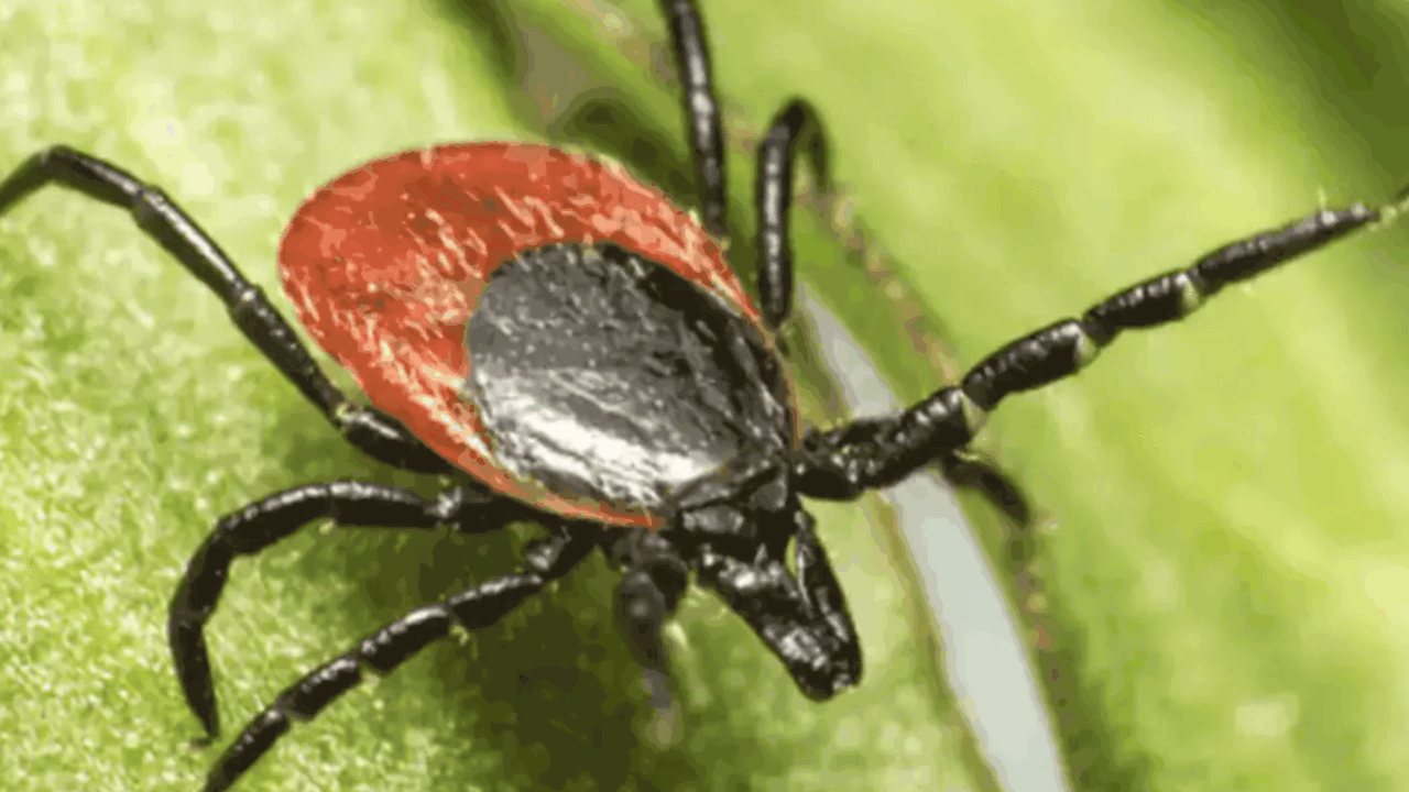 С начала эпидемического сезона в Самарской обла...