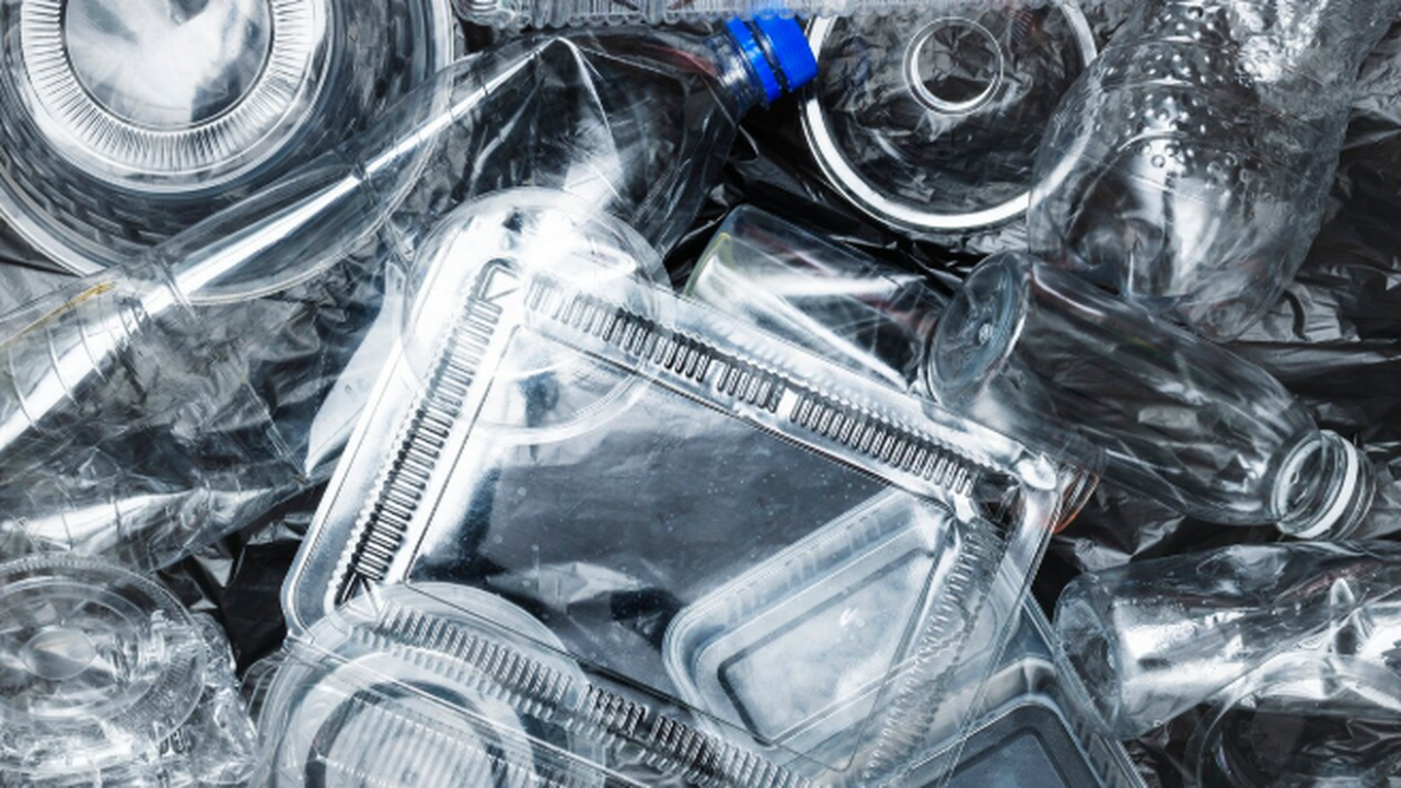 В Самаре наблюдается проблема переполнения экоц...