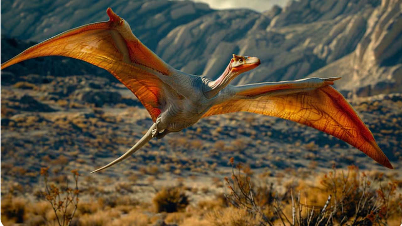 Science: ученые восстановили облик кожи динозавров из «зоны мумий» Палеонтологи из Университета Чикаго провели дет...