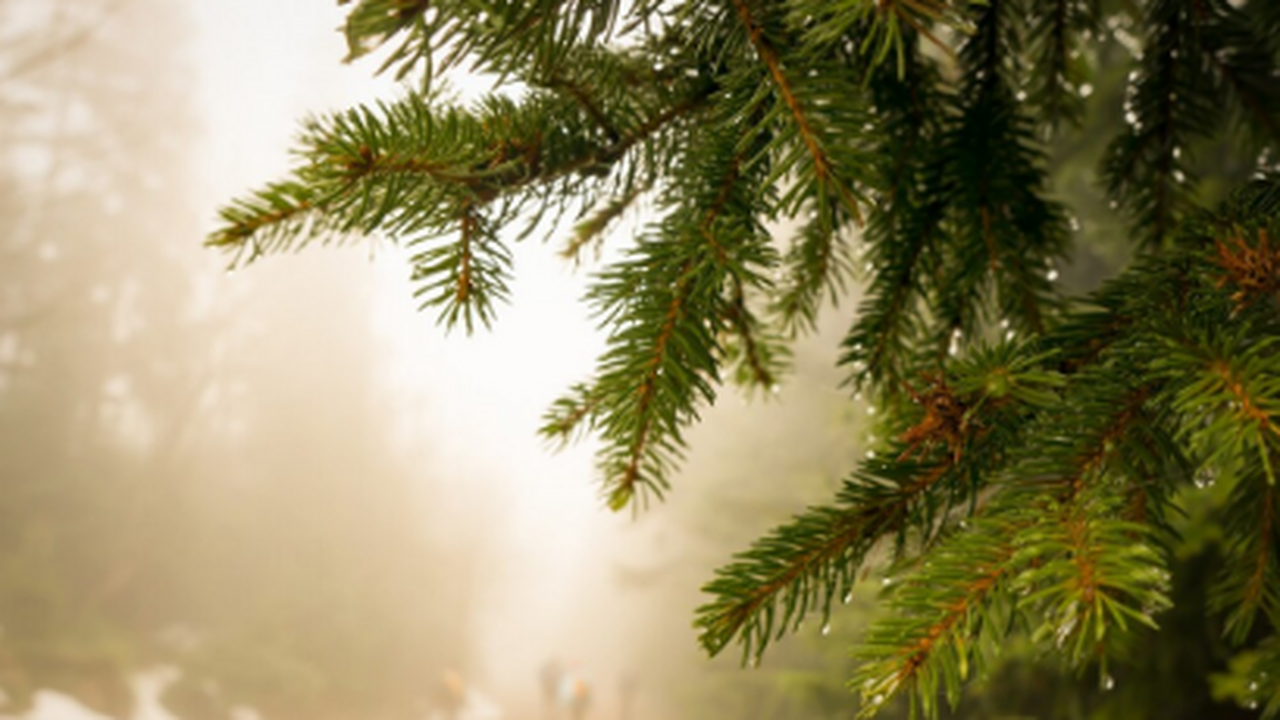 В ходе междисциплинарного исследования, проведё...