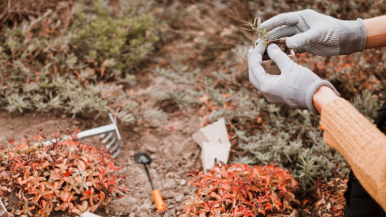 В рамках масштабных научных исследований, прове...