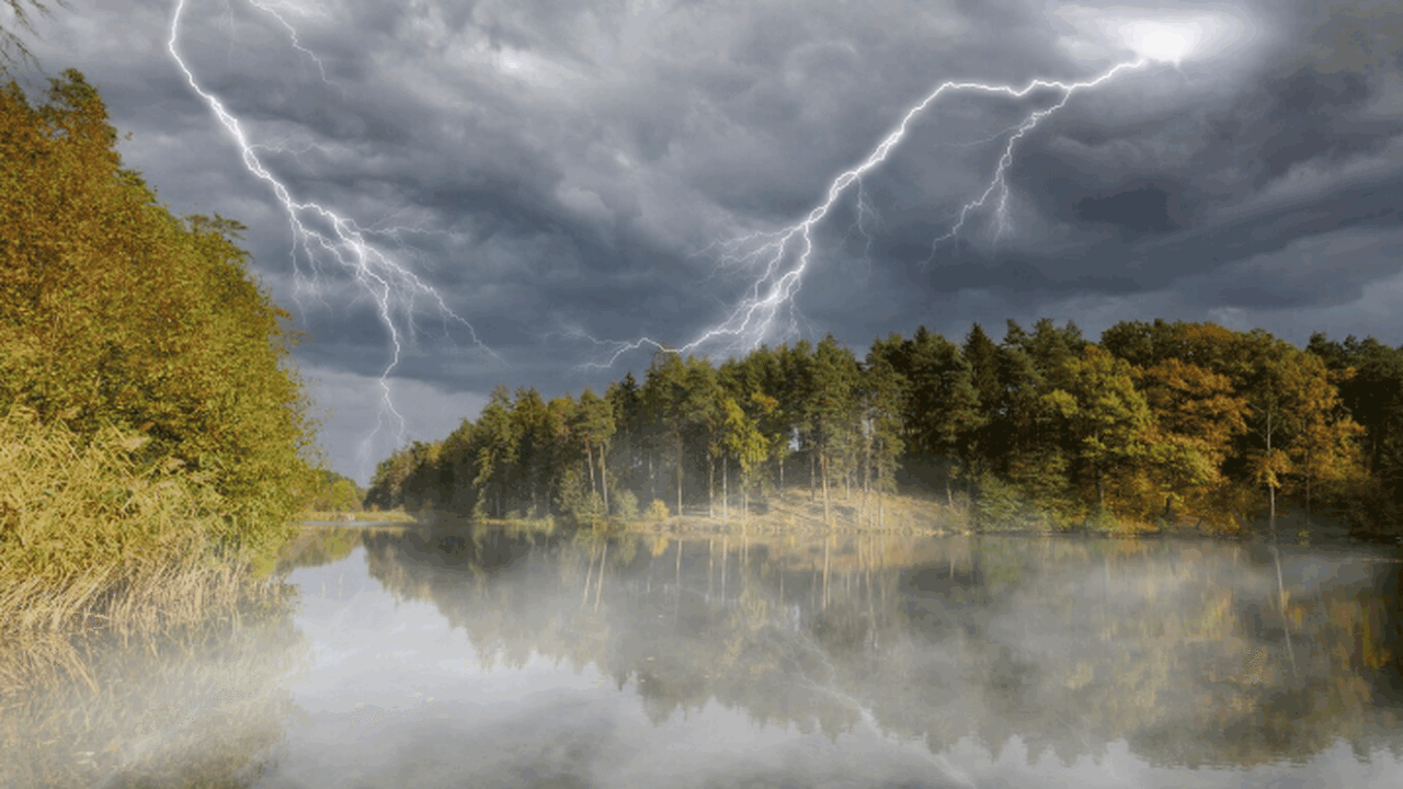 В Самарской области вследствие неблагоприятных ...