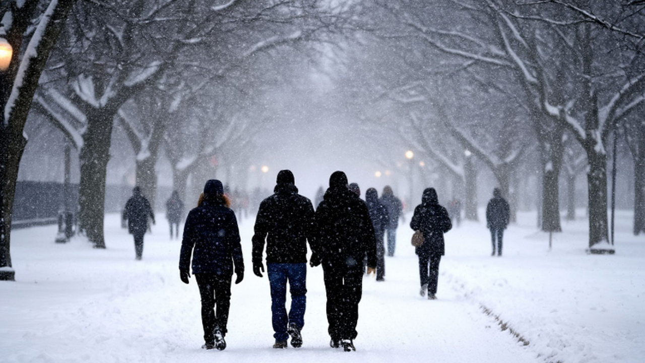 Холода нагрянут внезапно: Вильфанд рассказал, когда придут настоящие январские морозы Зима 2025-2026 в России: Гидрометцентр прогнози...