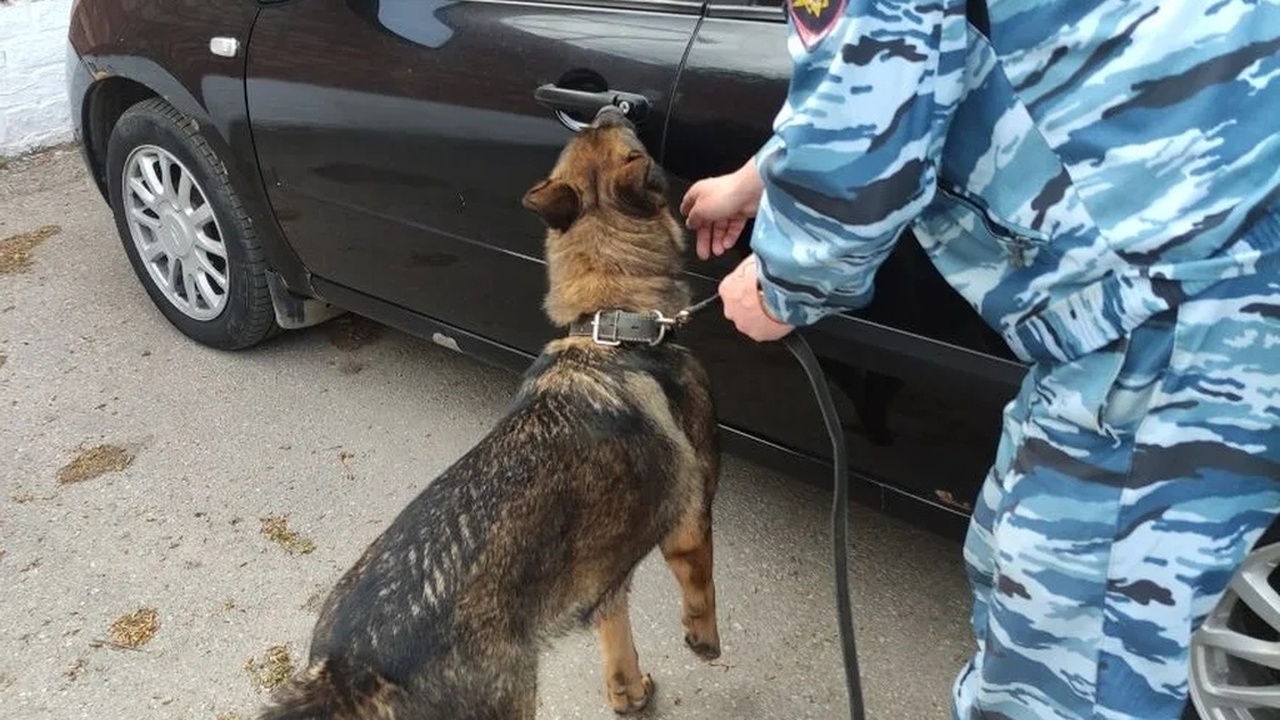 В Самарской области нервного водителя BMW задержали за хранение наркотиков На контрольно-пропускном пункте «Рубеж» в Толья...