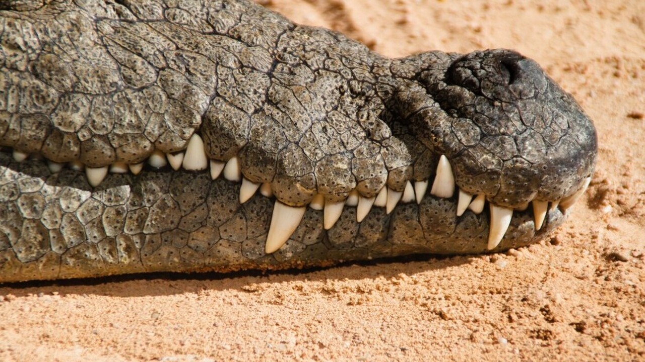 В музее Tellus Science Museum в штате Джорджия ...