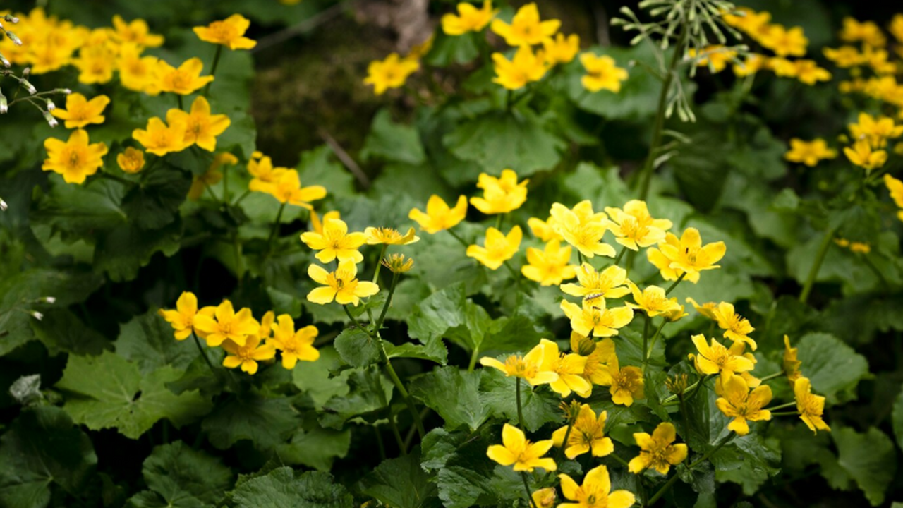 В Новосибирске специалисты разработали инноваци...