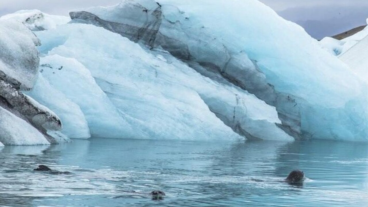 Из-подо льдов Антарктиды прошли радиосигналы, опровергающие законы физики В период с 2016 по 2018 годы группа исследовате...