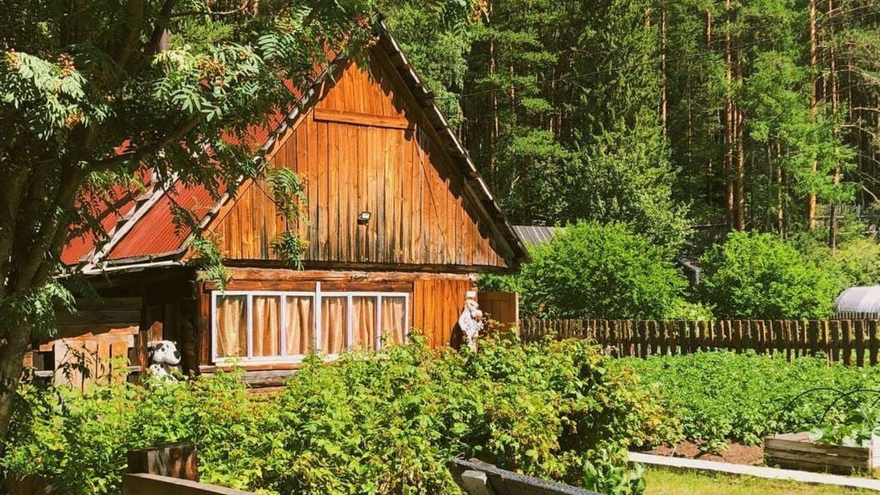 Можете попрощаться со своей дачей: как изменятся привычки россиян из-за инфляции и перебоев с интернетом — особенно актуально для тех, кто старше 60 лет Рынок загородной недвижимости: почему аренда ст...