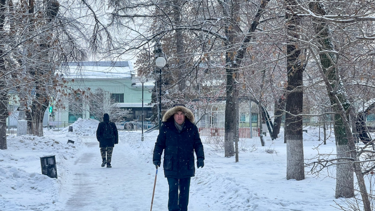 Планирование дел и отдыха часто зависит от капр...