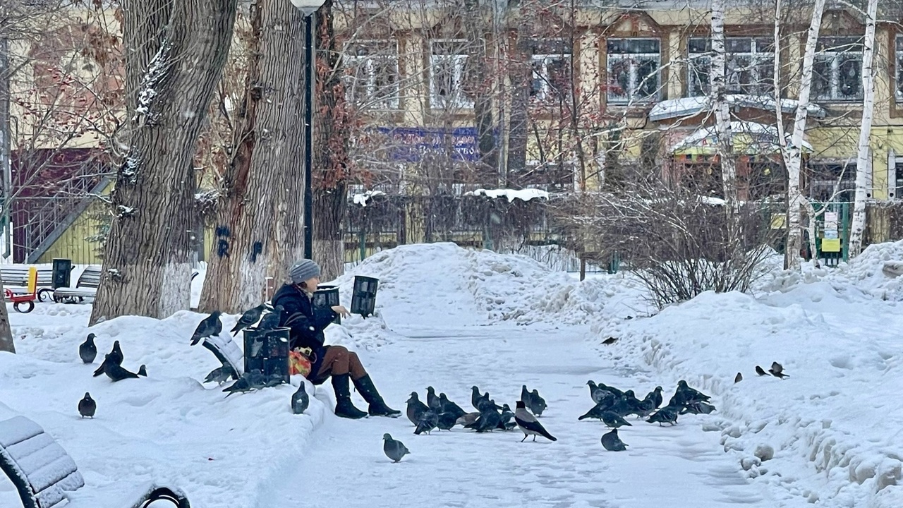 В Самаре этот январь выдался по настоящему аном...