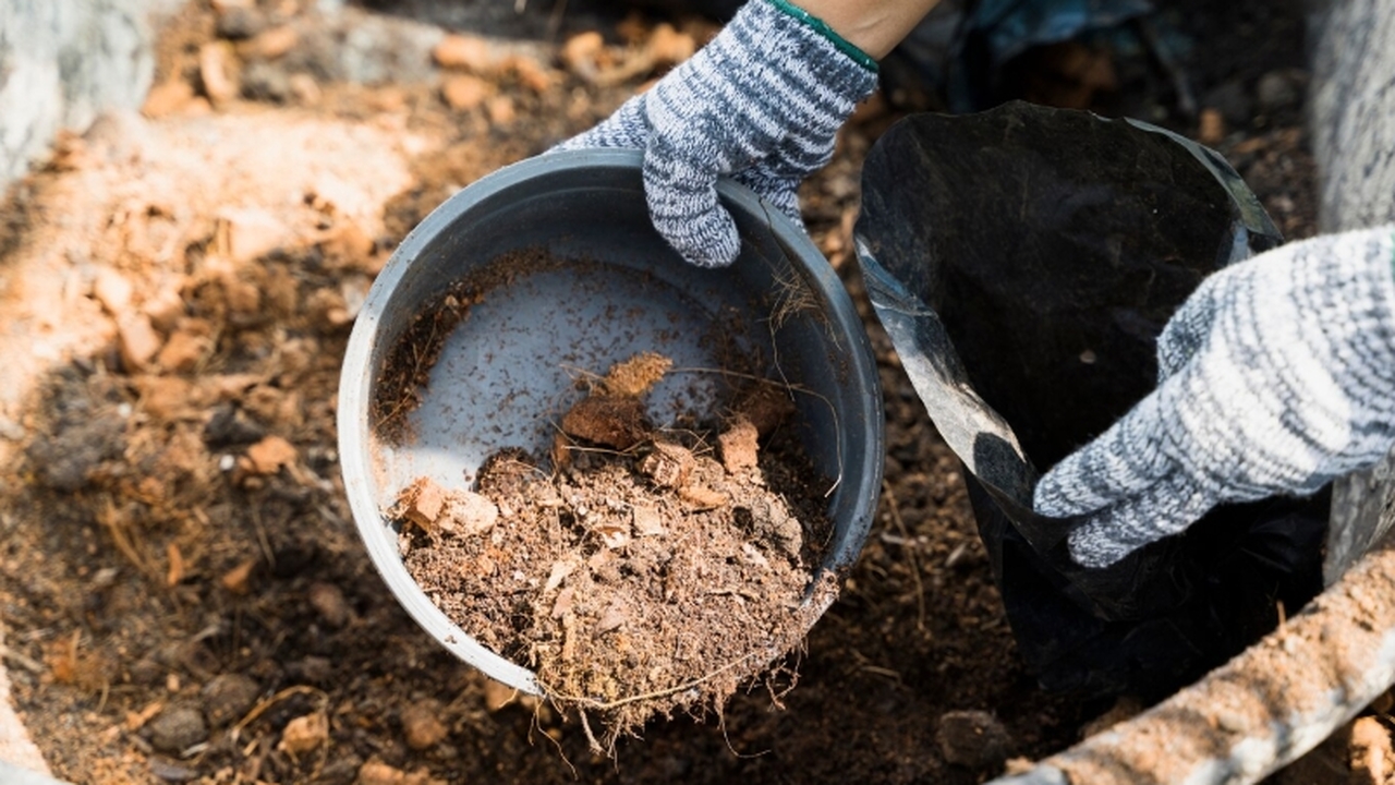 Российские аграрии открыли простой, но эффектив...