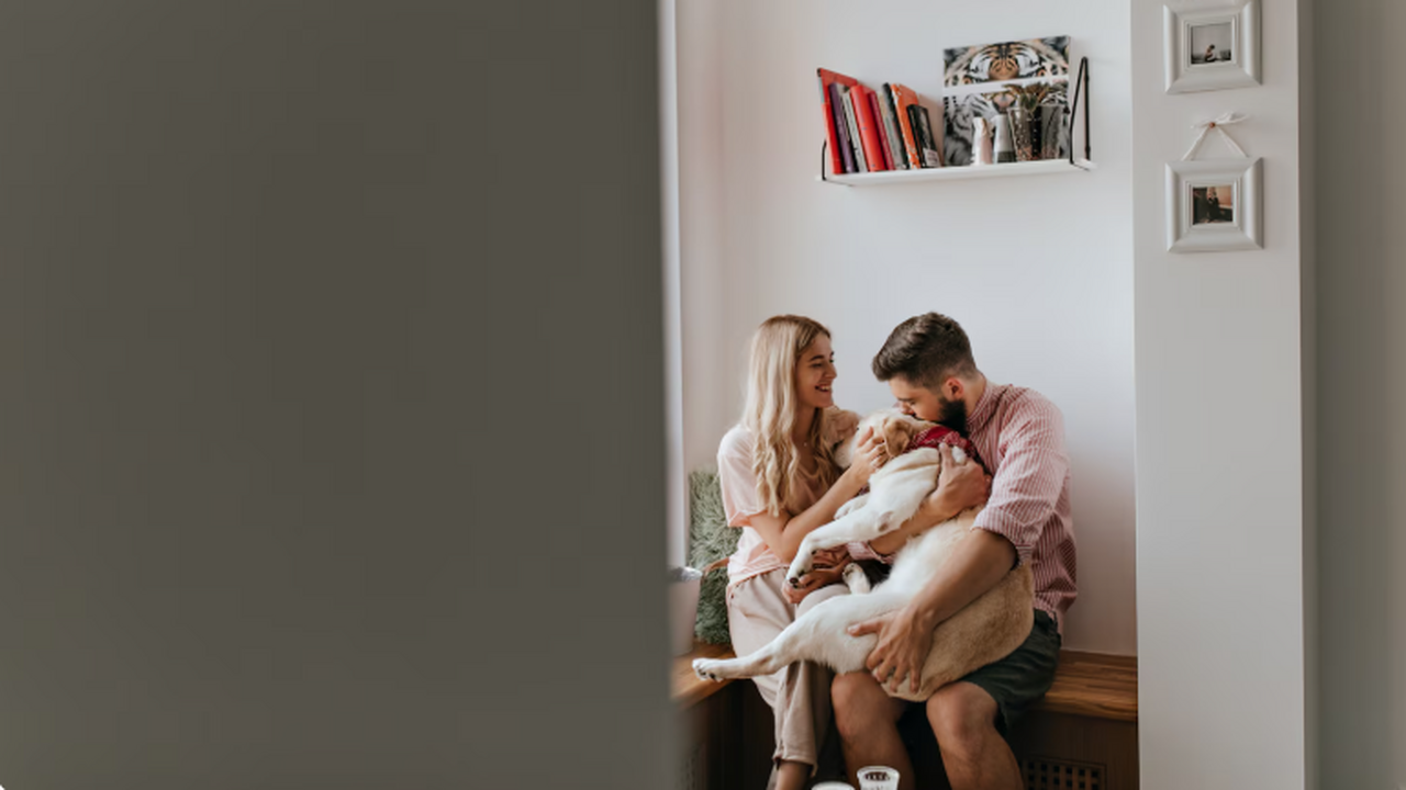 В России разрабатывается масштабная государстве...