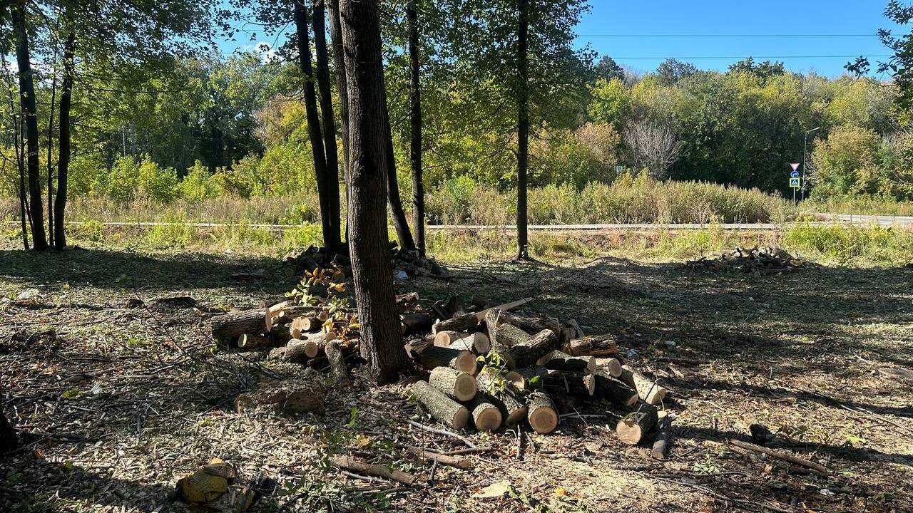 «Скоро все в бетоне жить будем»: жители «Новой Самары» пожаловались на вырубку леса и строительный мусор Шум, пыль и пробки – реальность, в которой живу...