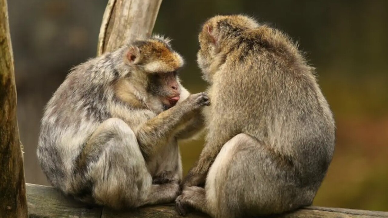 В Самарской области медицинские специалисты акц...