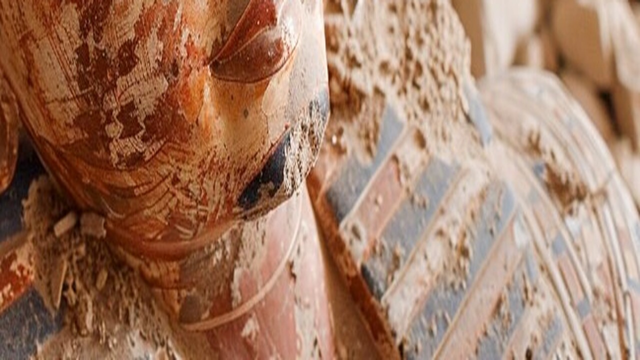 В академических кругах Перу развернулась оживле...