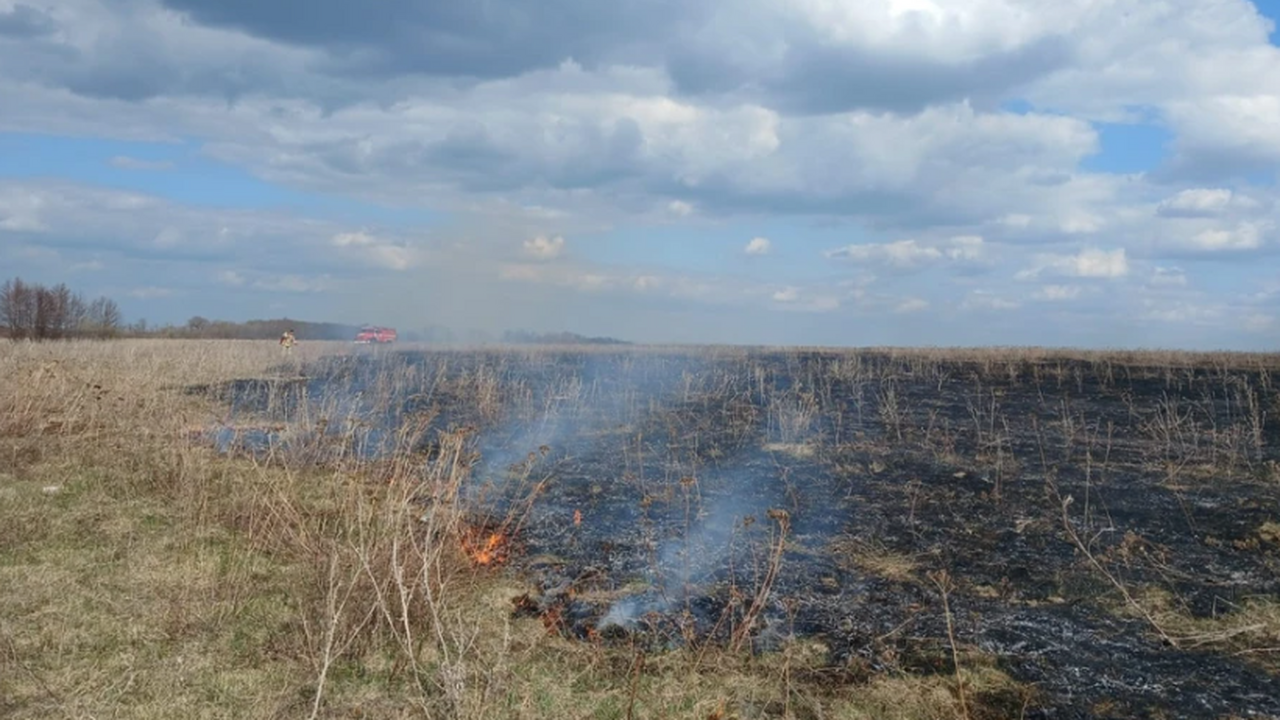 8 апреля в Самарской области потушили пожар на поле с сухой травой В среду, 8 апреля, в Самарской области, в непос...