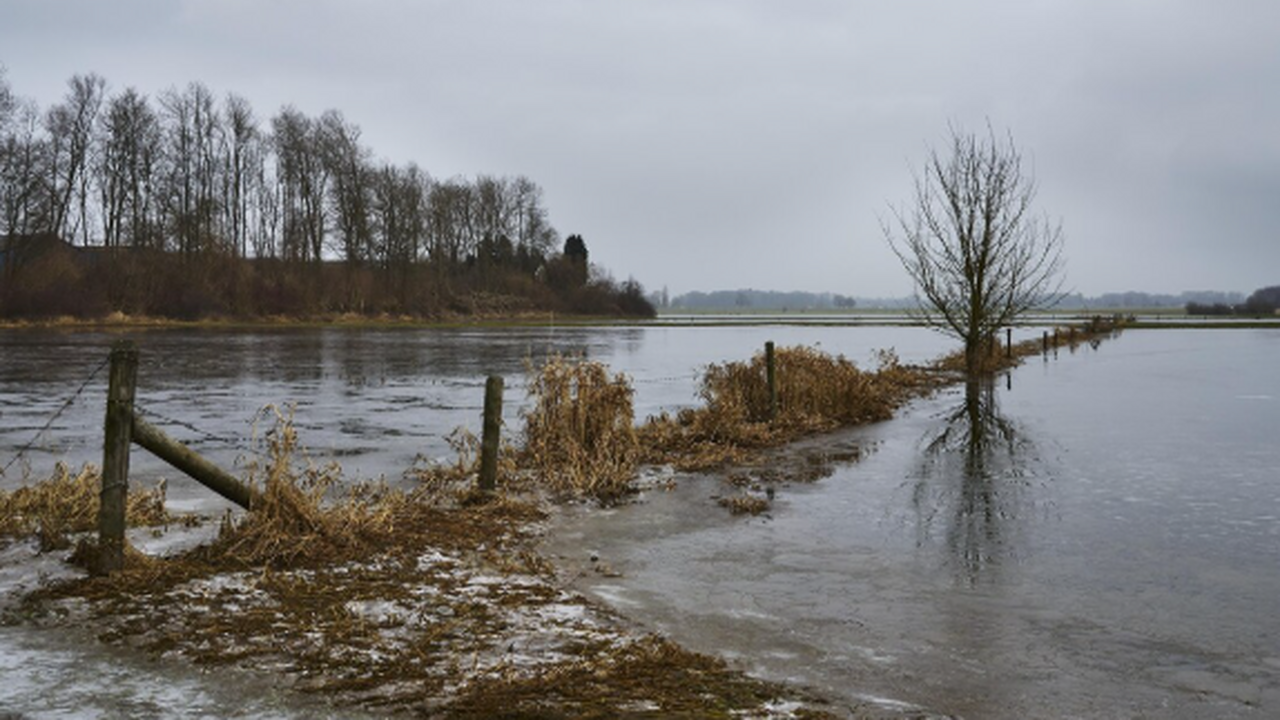 Глава управления гражданской защиты городской а...