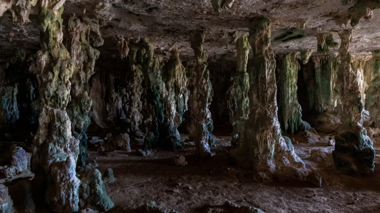 Исследователи из различных научных учреждений п...